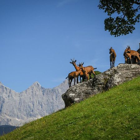 Strickhof Schladming Exterior foto