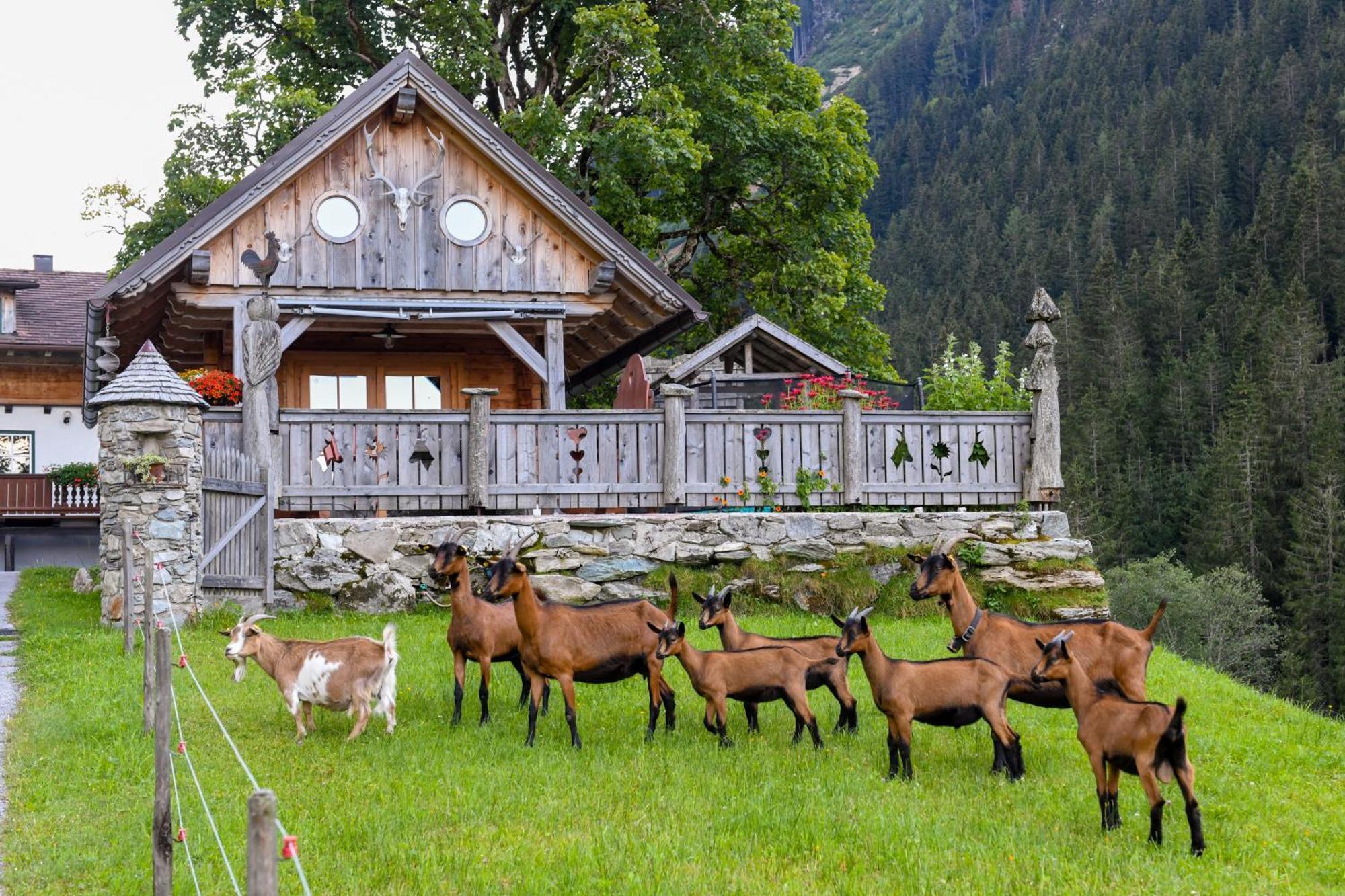 Strickhof Schladming Exterior foto